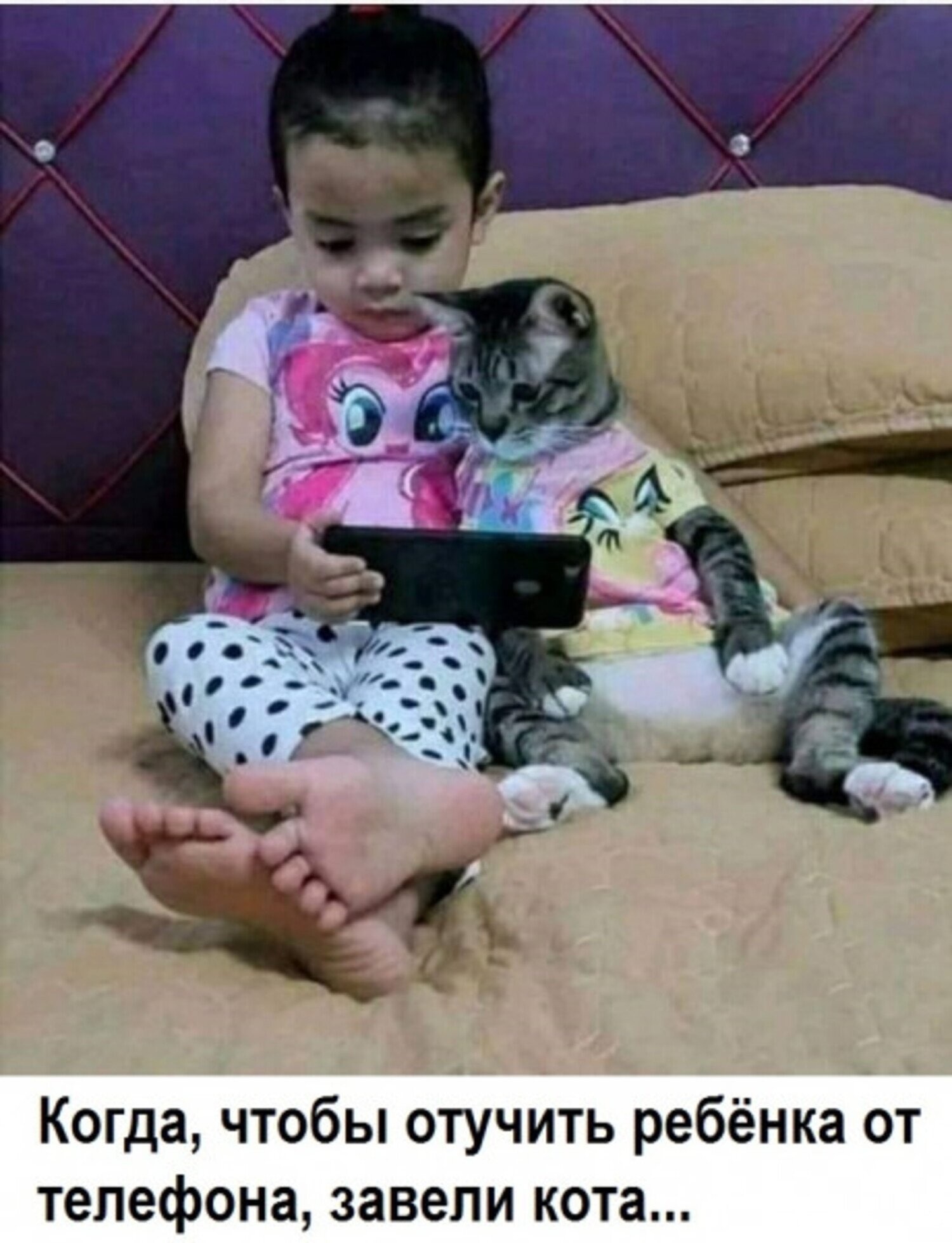 ����������