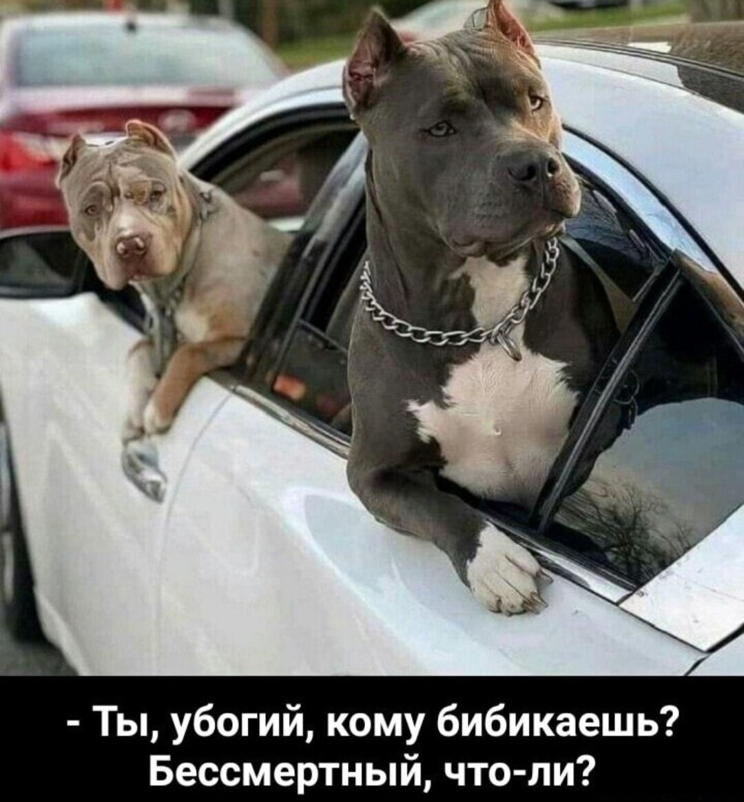 ����������